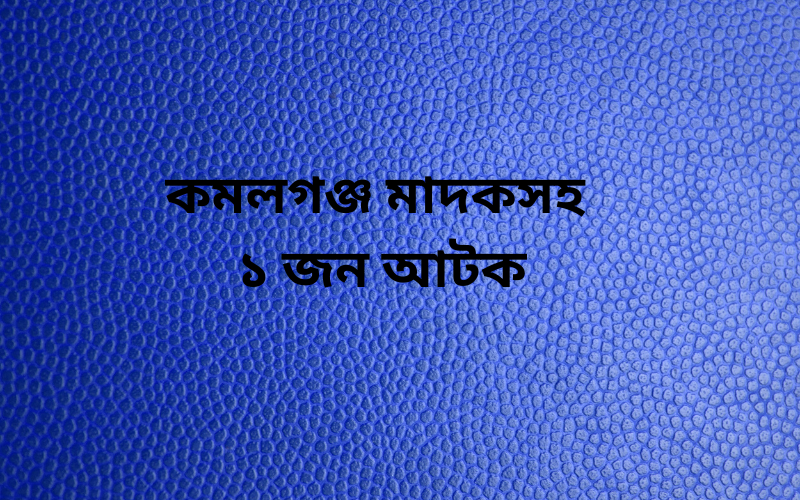 কমলগঞ্জ মাদকসহ ১ জন আটক