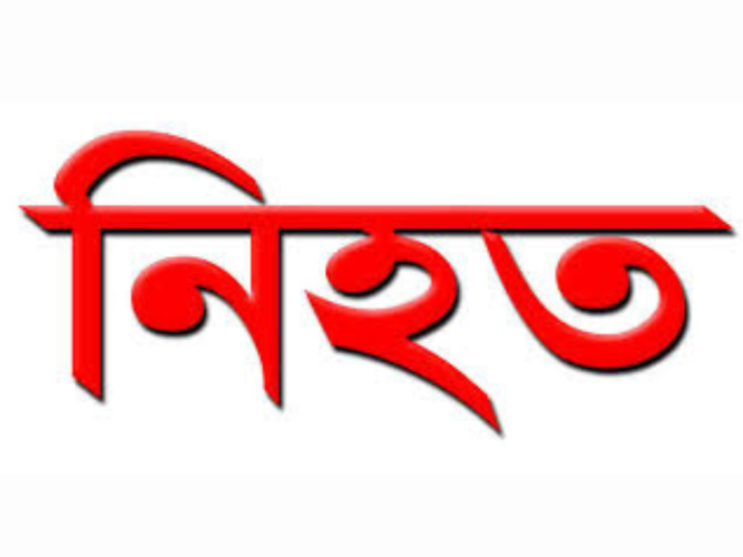 সড়ক দুর্ঘটনায় অটো চালকের মৃত্যু