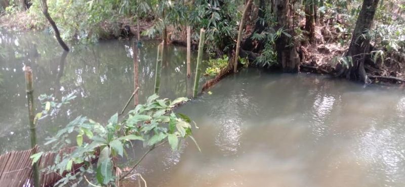 সদরপুরে খালে বাঁধ দিয়ে মাছ শিকার, ক্ষতিগ্রস্ত কৃষক