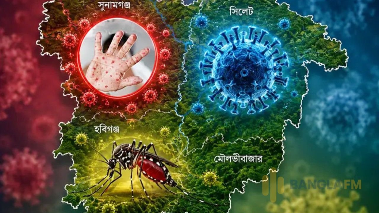 সিলেটে নতুন করে হানা দিয়েছে করোনা ভাইরাস
