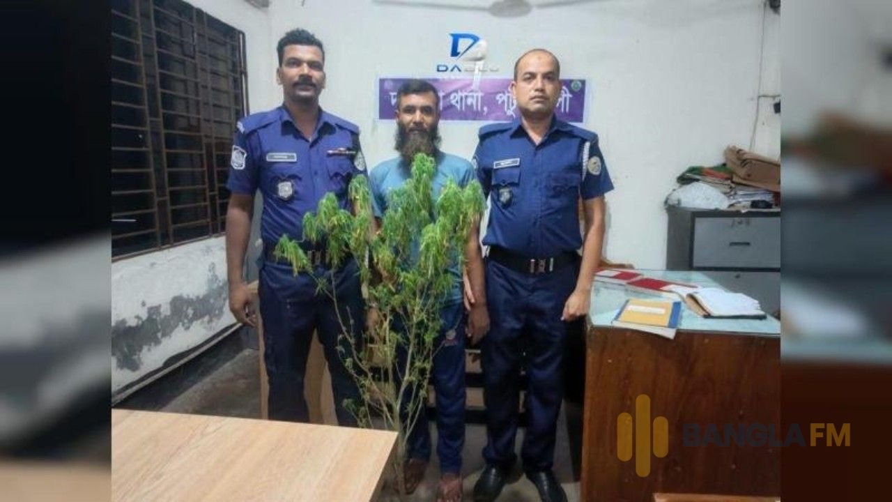 টাঙ্গাইলের মির্জাপুরে গাঁজাসহ যুবক আটক