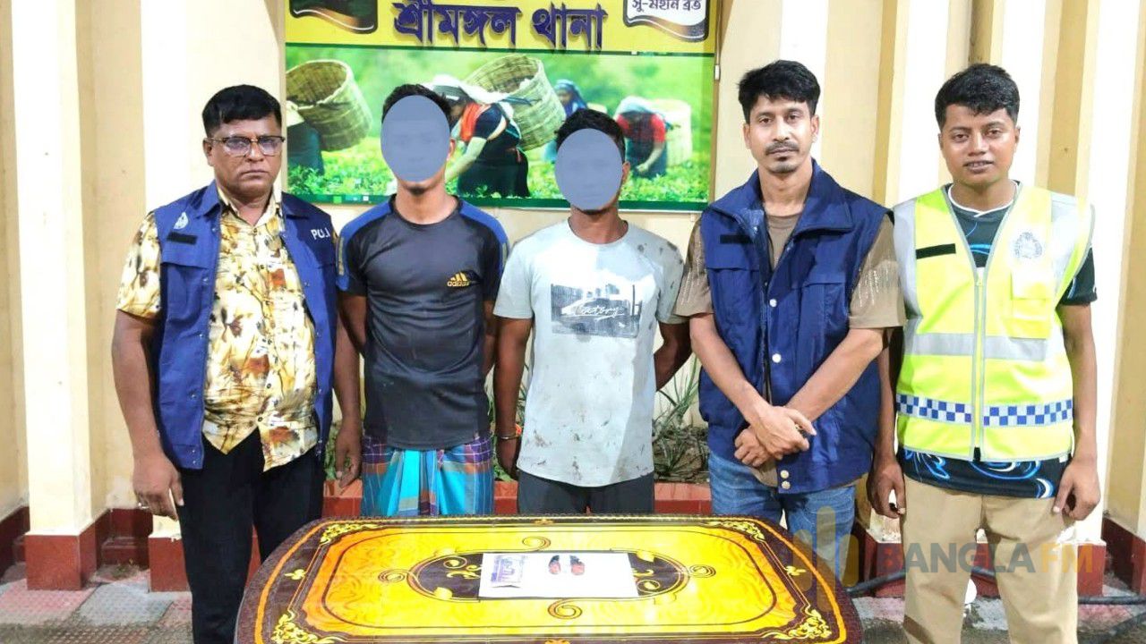 শ্রীমঙ্গলে ৯৫ ইয়াবাসহ দুই ভাই গ্রেপ্তার