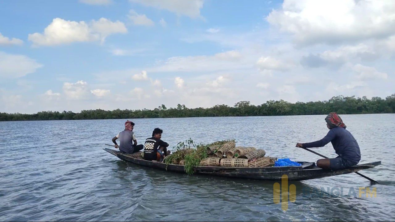 নিষেধাজ্ঞার মধ্যেও সুন্দরবনে ঢুকছেন মানুষ, ৮০ দিনে ৪৪ জন আটক
