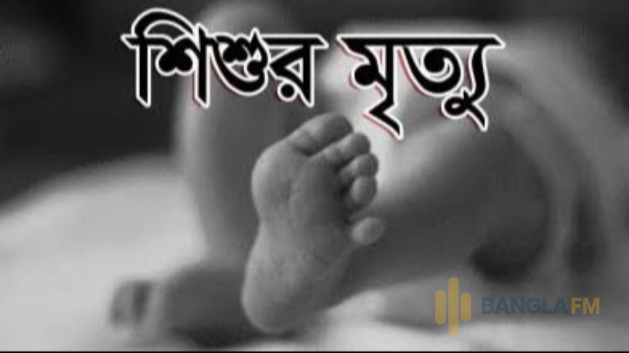 টাঙ্গাইলের মির্জাপুরে আড়াই বছরের শিশুর আকস্মিক মৃত্যু