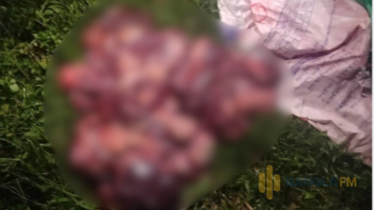ঝিনাইগাতীতে জবাই করা ৩টি ঘোড়ার মাংস জব্দ