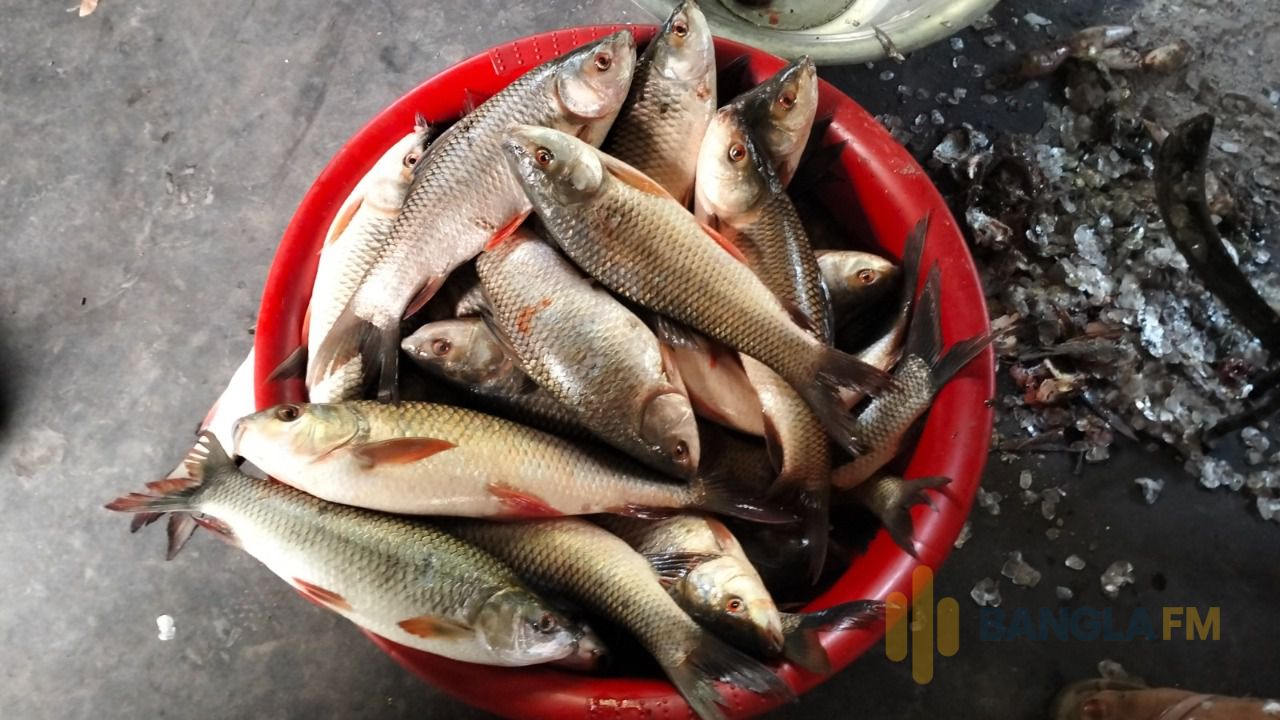 জয়পুরহাটে উপজেলা স্বাস্থ্য কমপ্লেক্সে রোগীদের খাবারে অনিয়মের অভিযোগ 