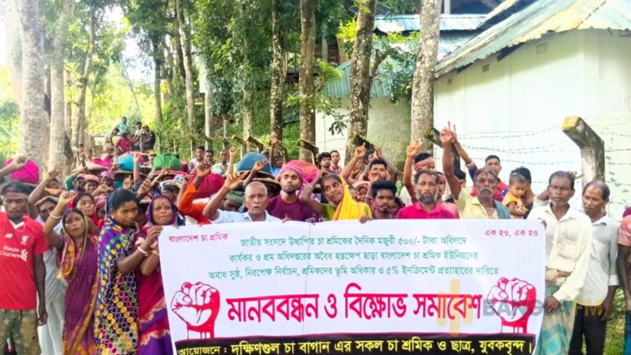 ৫০০ টাকা মজুরির দাবিতে চা শ্রমিকদের মানববন্ধন