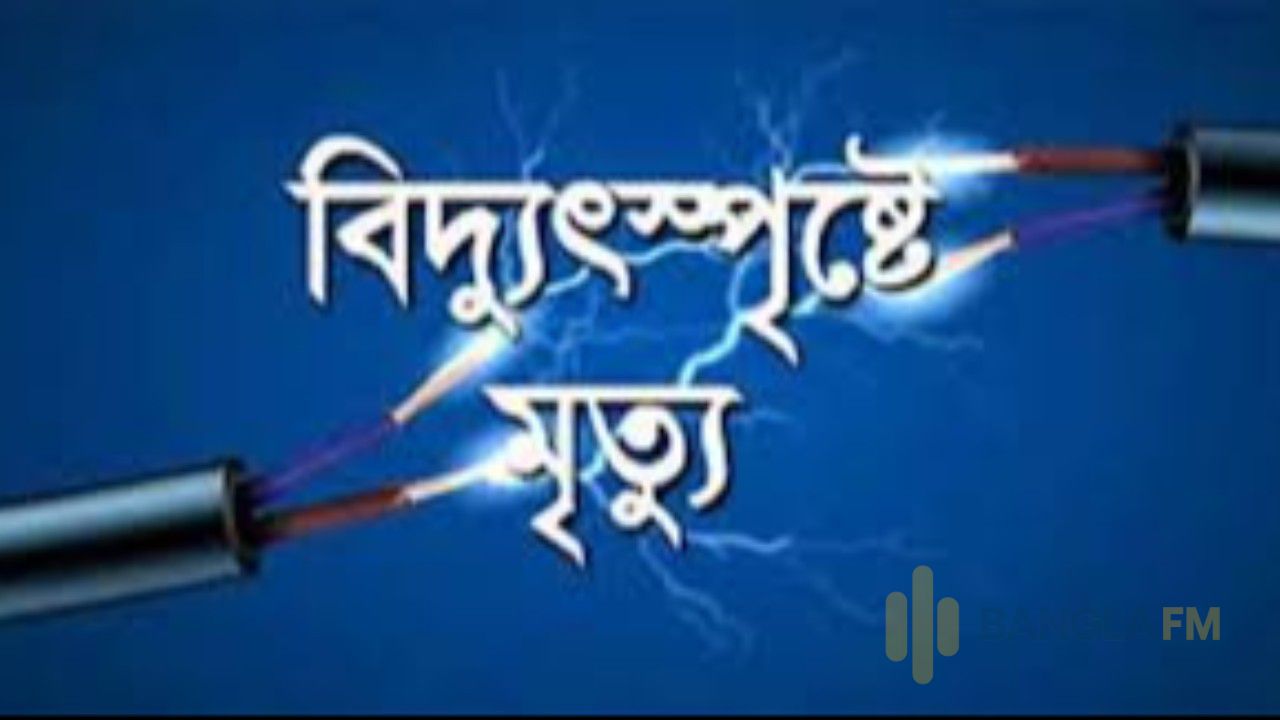 চুয়াডাঙ্গায় বিদ্যুৎস্পৃষ্টে প্রাণ গেল এক ব্যক্তির 