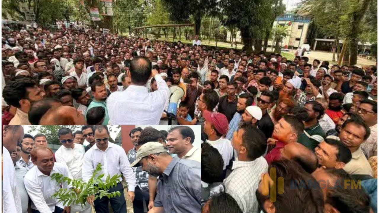 মধ্যনগরে বিএনপির প্রতিষ্ঠা বার্ষিকীতে বৃক্ষ রোপণে এমপি কামরুল 