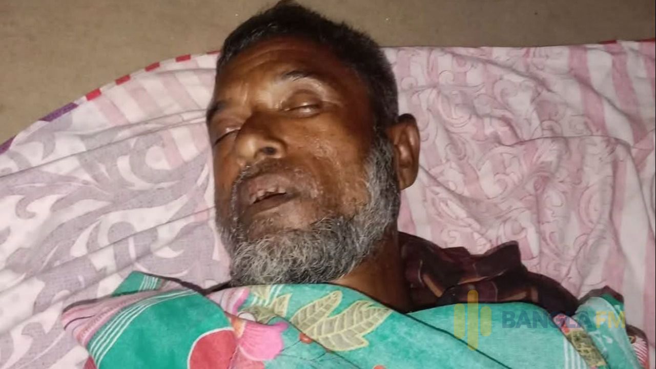 জামালপুরে সাপেড় কামড়ে ১ জনের মৃত্যু