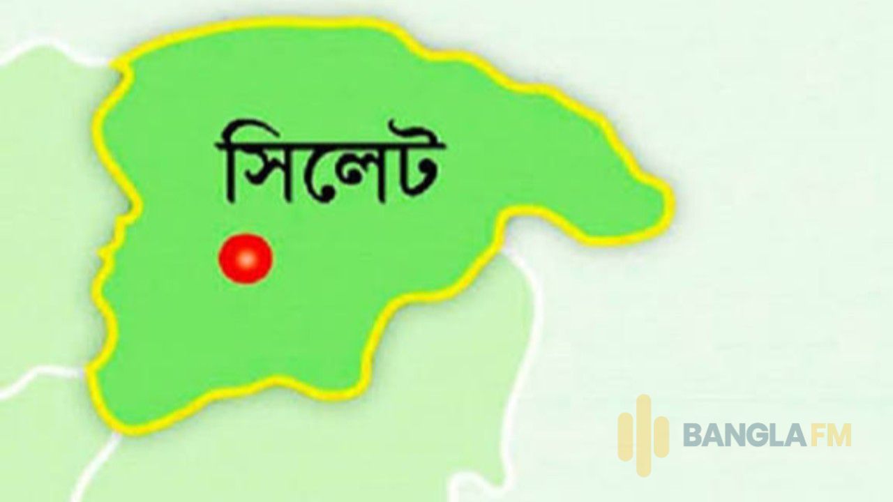 সিলেটের গোলাপগঞ্জে তুলে নিয়ে নির্যাতনের অভিযোগ বিএনপি নেতার বিরুদ্ধে