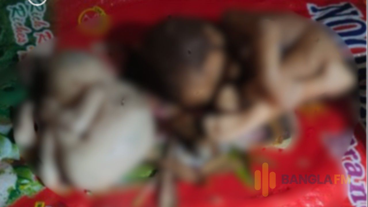 বরিশালে ময়লার স্তূপ থেকে ২ নবজাতকের মরদেহ উদ্ধার 