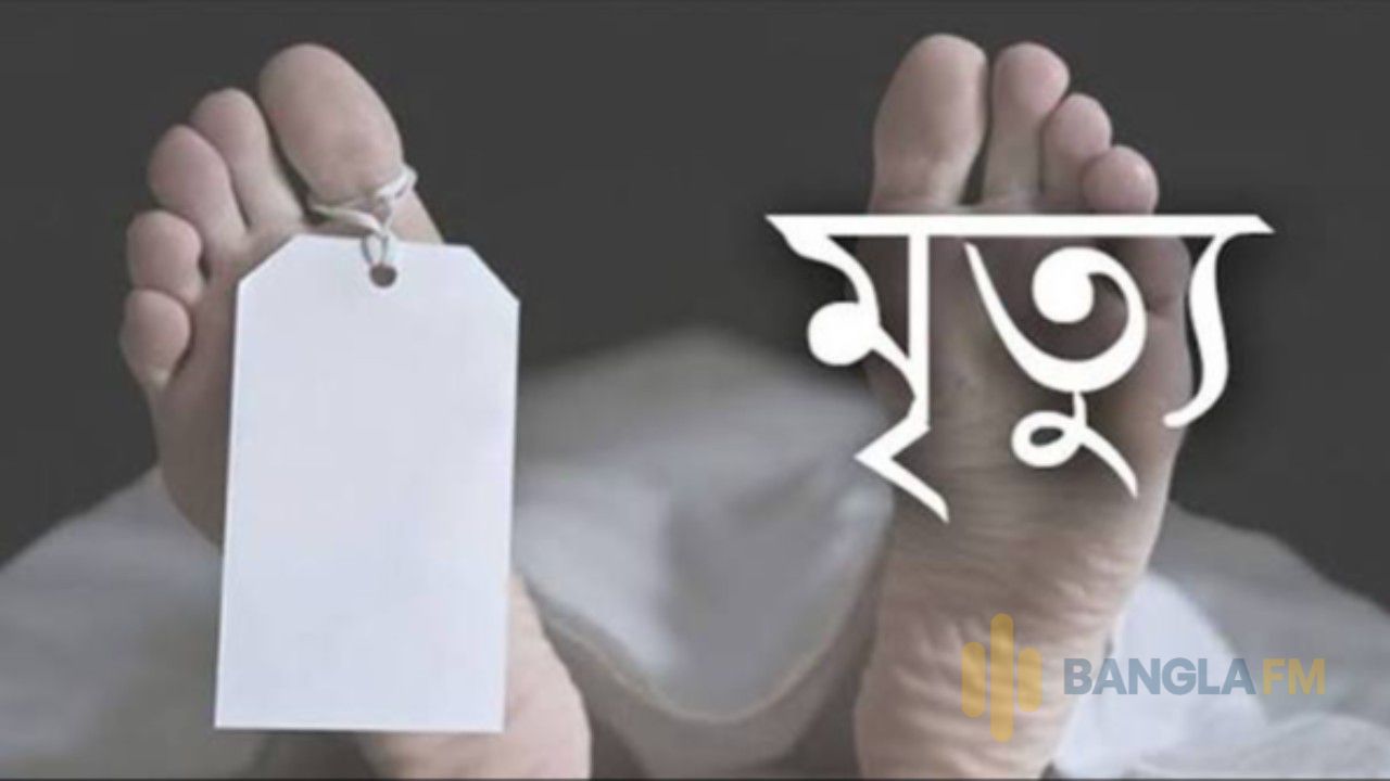 সৈয়দপুরে ট্রেনের ধাক্কায় আহত বৃদ্ধার মৃত্যু 