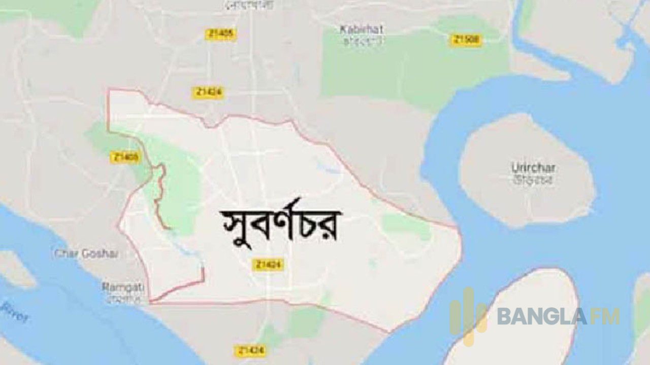 নোয়াখালীতে ফুটন্ত গরম ভাতের মাড়ে নারীকে ঝলসে দিলেন স্বজনরা