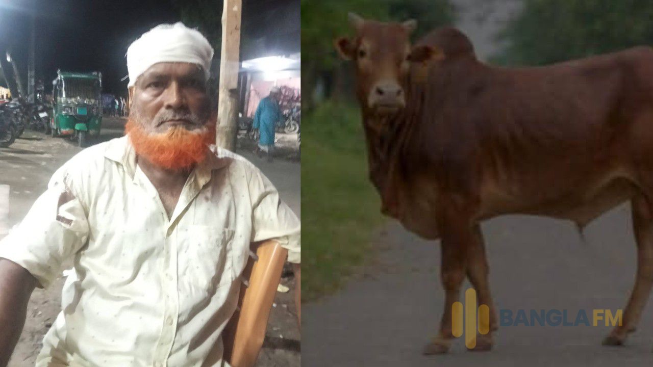 রামগঞ্জে গরু চুরির অভিযোগে বিএনপি নেতার বাড়ি ঘেরাও