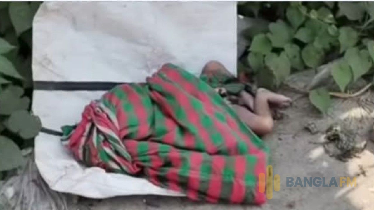 মির্জাপুরে মহাসড়কের পাশে আবারও নবজাতকের মরদেহ উদ্ধার