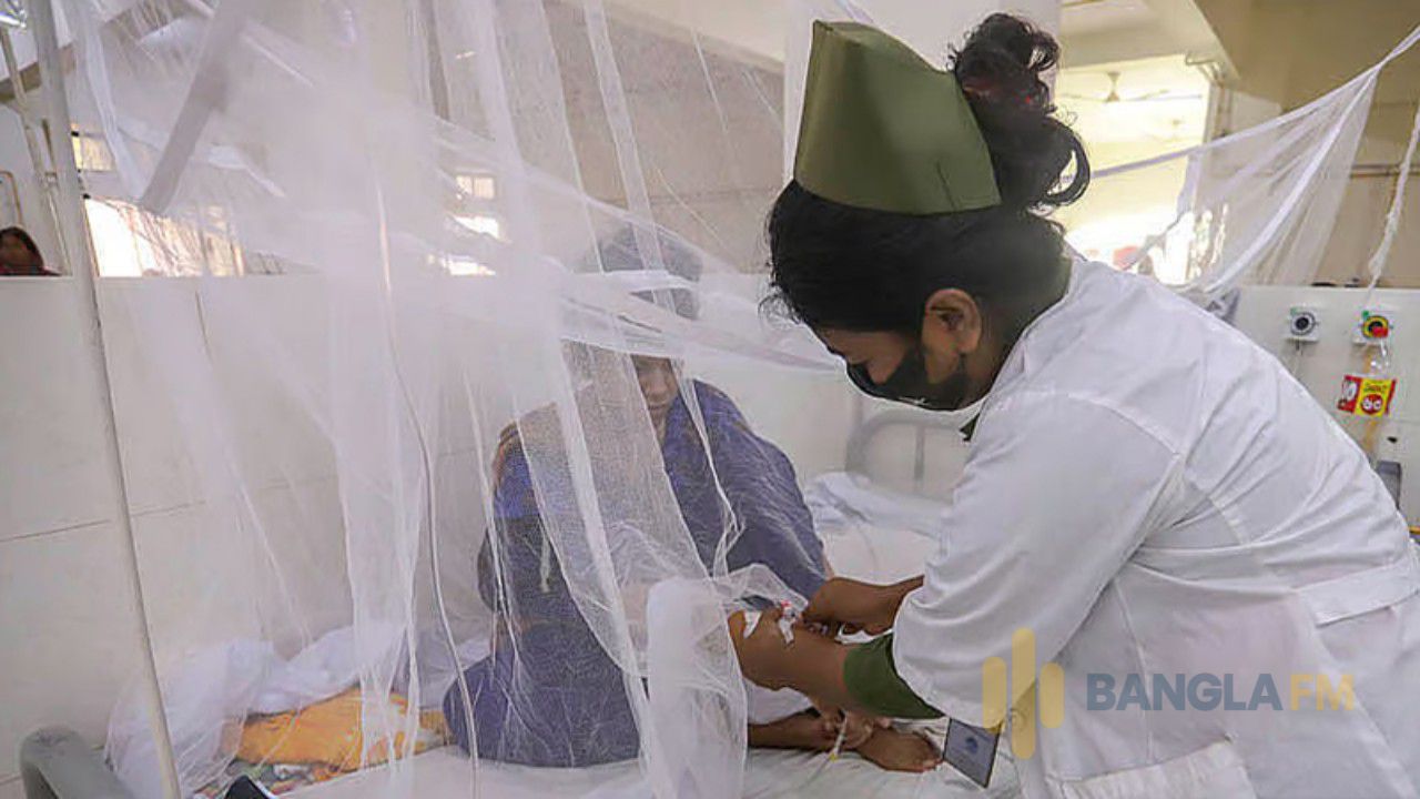 ডেঙ্গুতে আরও ৭ জনের মৃত্যু, হাসপাতালে ১৫৯৩ 