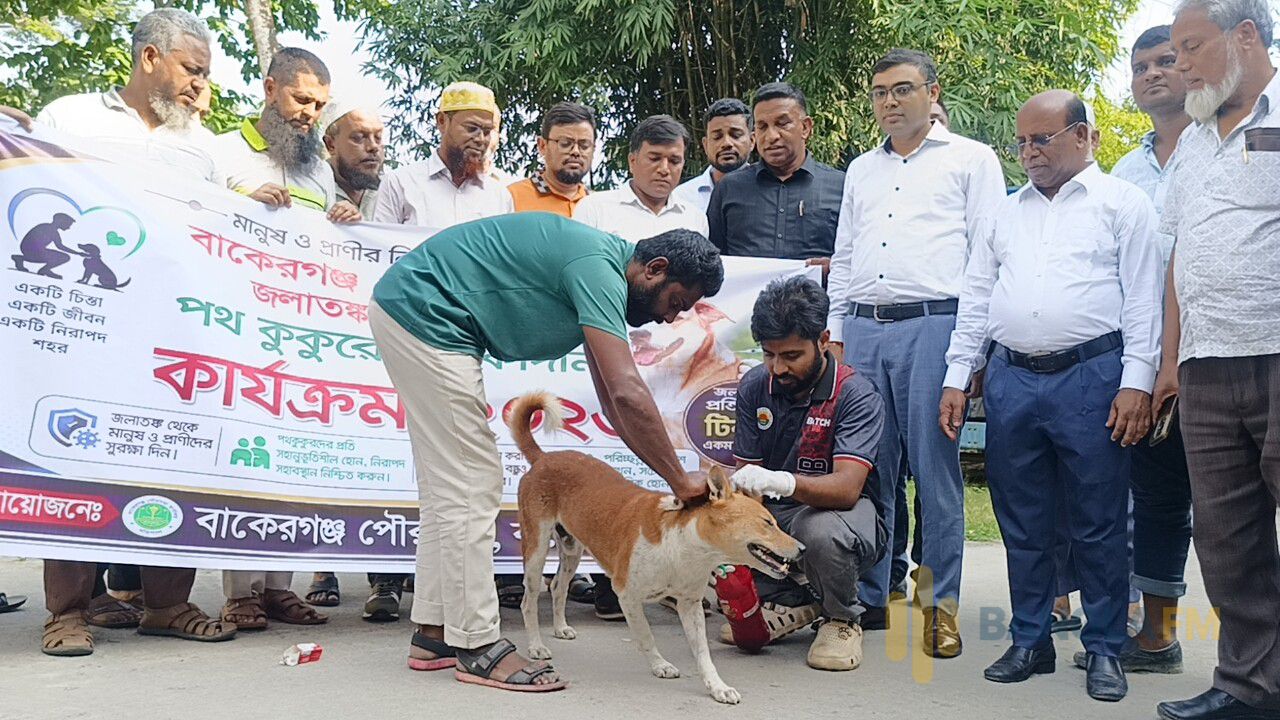 বাকেরগঞ্জে জলাতঙ্ক প্রতিরোধে পথ কুকুরদের টিকা প্রদান কর্মসূচি শুরু 