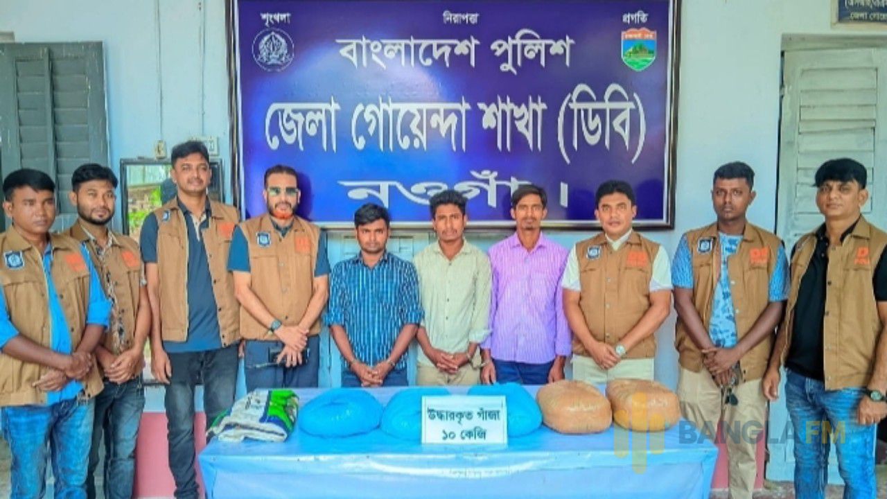 নওগাঁয় ডিবির অভিযানে ১০ কেজি গাঁজাসহ তিন মাদক কারবারি আটক