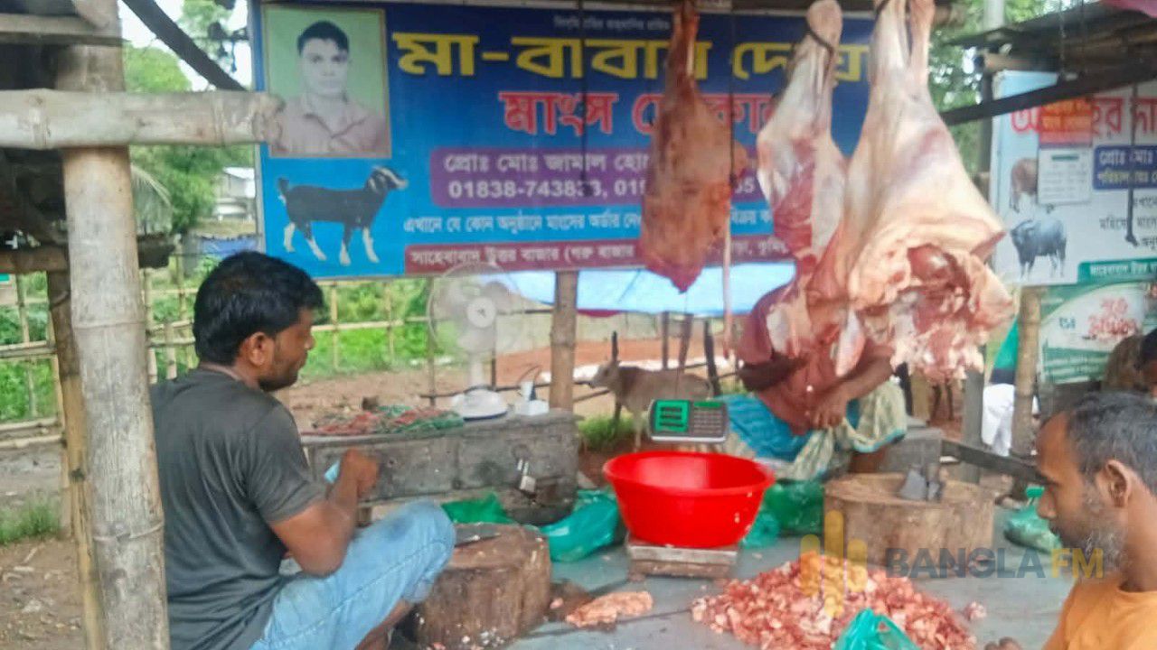 ব্রাহ্মণপাড়ায় স্বাস্থ্য পরীক্ষা ছাড়া গরু জবাই, নজরদারির অভাব
