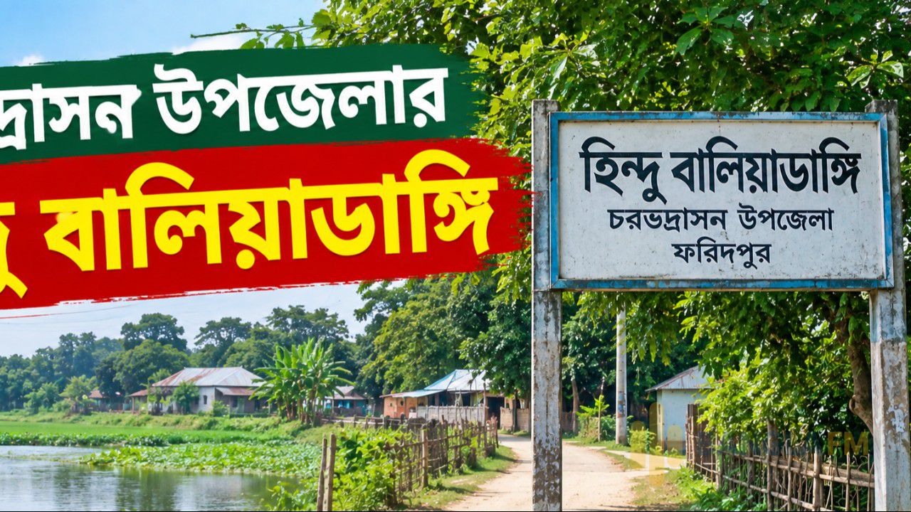 চরভদ্রাসনের হিন্দু বালিয়াডাঙ্গি এলাকায় চোরের উপদ্রব