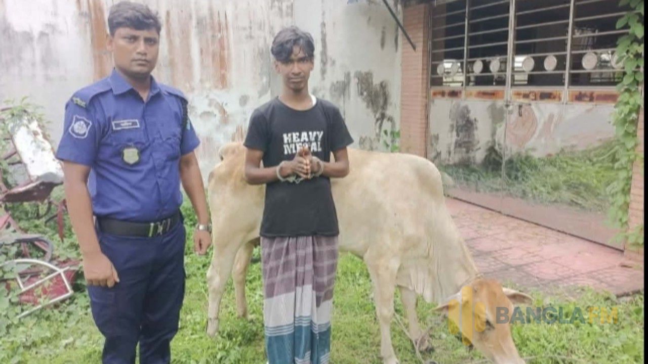 নওগাঁয় গ্রাম পুলিশের সহায়তায় গরু চোর গ্রেফতার