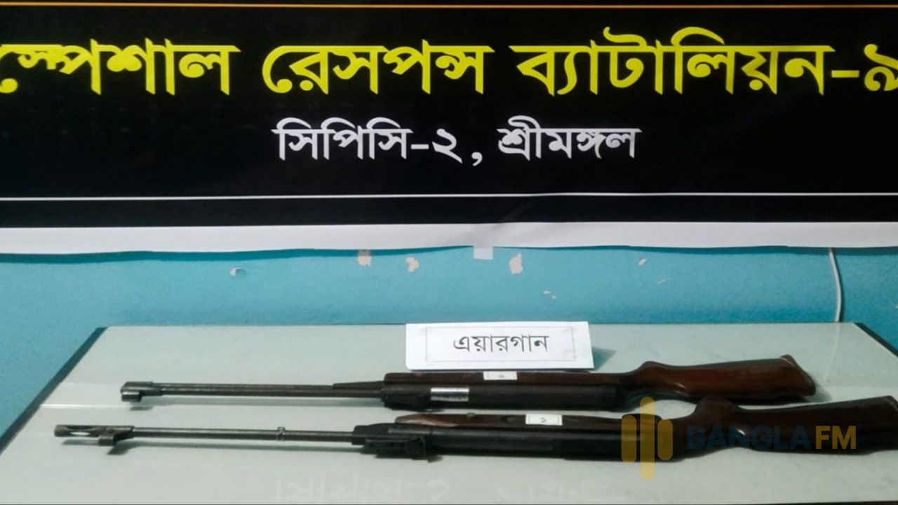 মৌলভীবাজারে বাঁশঝোপ থেকে দুটি এয়ারগান উদ্ধার