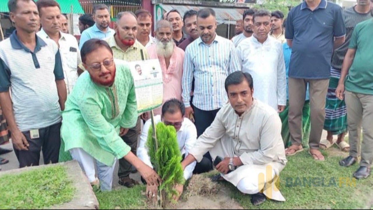 বেনাপোলে পরিচ্ছন্ন ও সবুজ গড়তে ৫০ হাজার বৃক্ষরোপণের উদ্যোগ, ৩ মাসে ১০ হাজার বৃক্ষরোপণ