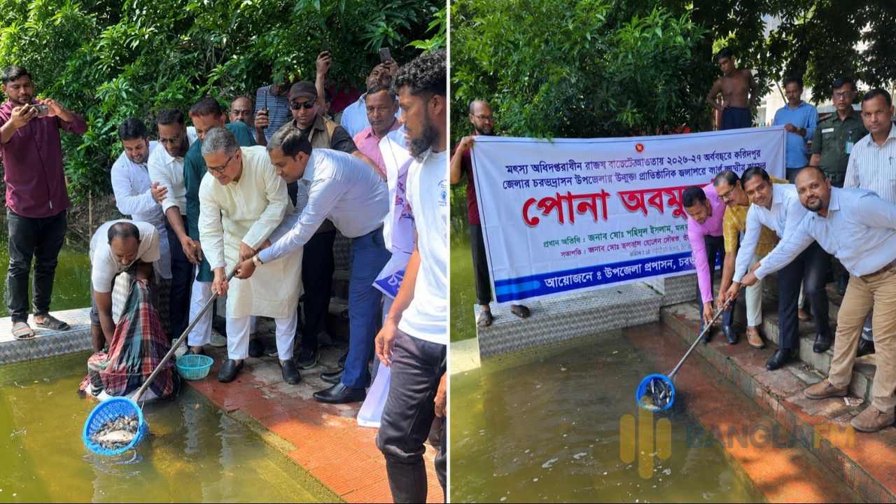 চরভদ্রাসনে জলাশয়ে জলাশয়ে অবমুক্ত ৩২২ কেজি পোনা