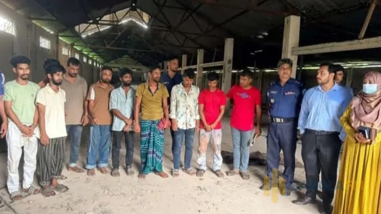 মানিকগঞ্জে আবারও ঘোড়া জবাই করে মাংস বিক্রির দায়ে ৯ জনকে কারাদণ্ড