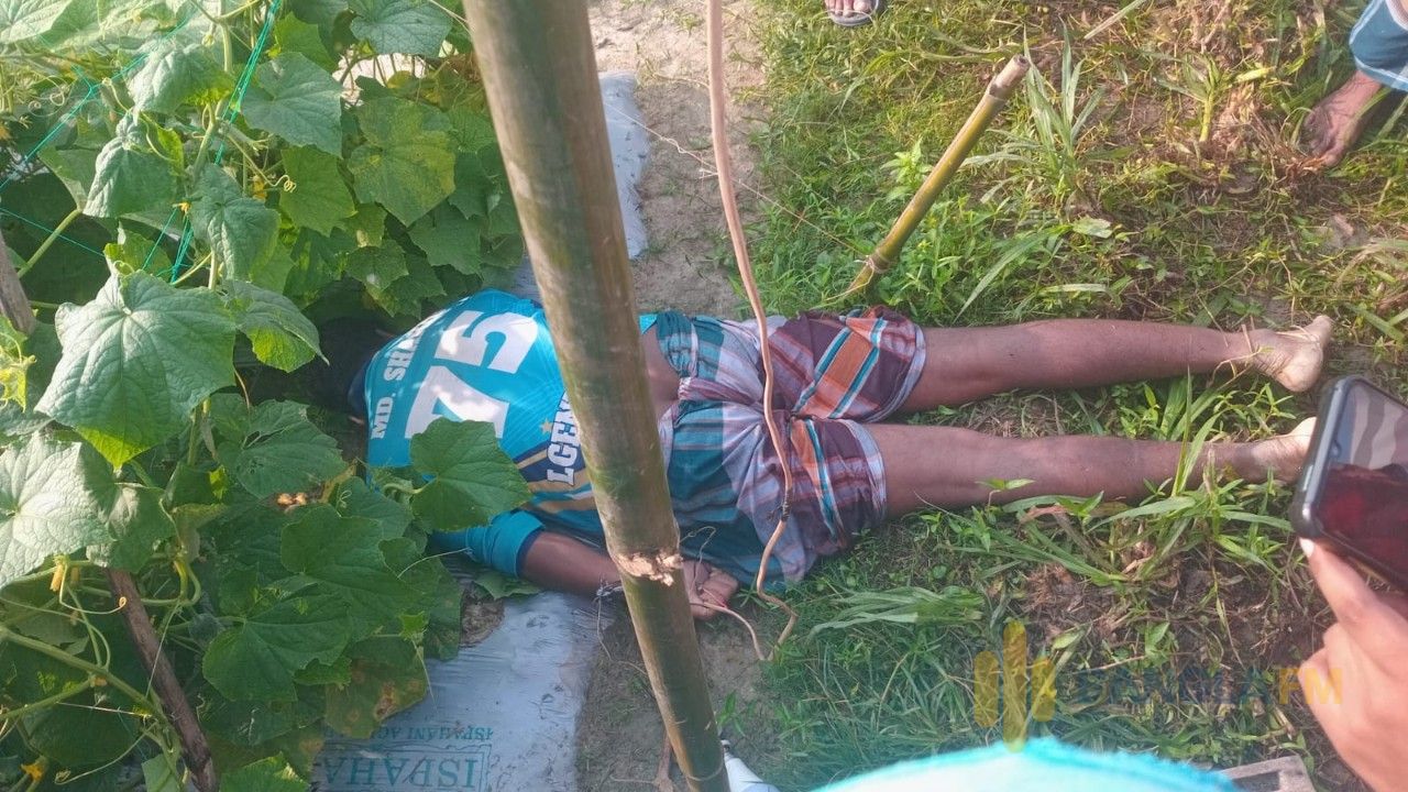 শশা ক্ষেতে টানা বৈদ্যুতিক ফাঁদে প্রাণ গেল যুবকের 