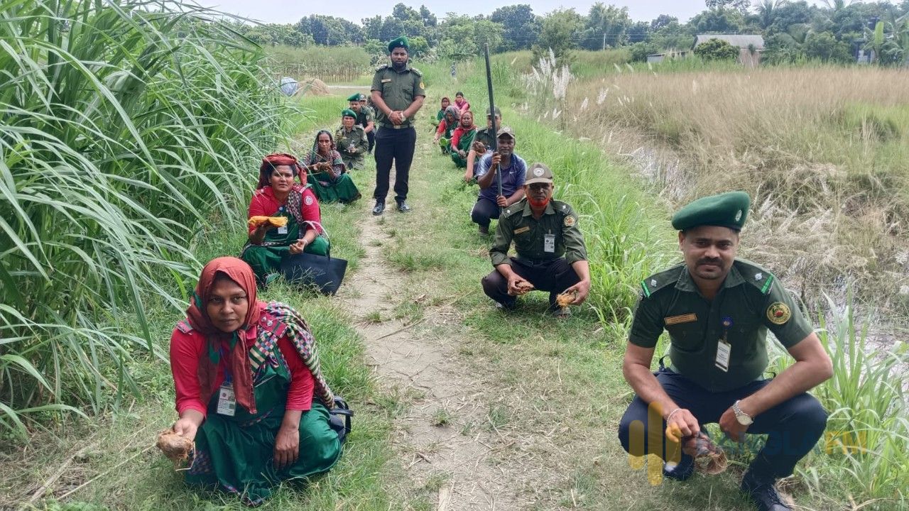 চরভদ্রাসনে ৫৫ চারা ও ৬৫০ তালের বীজ রোপণ