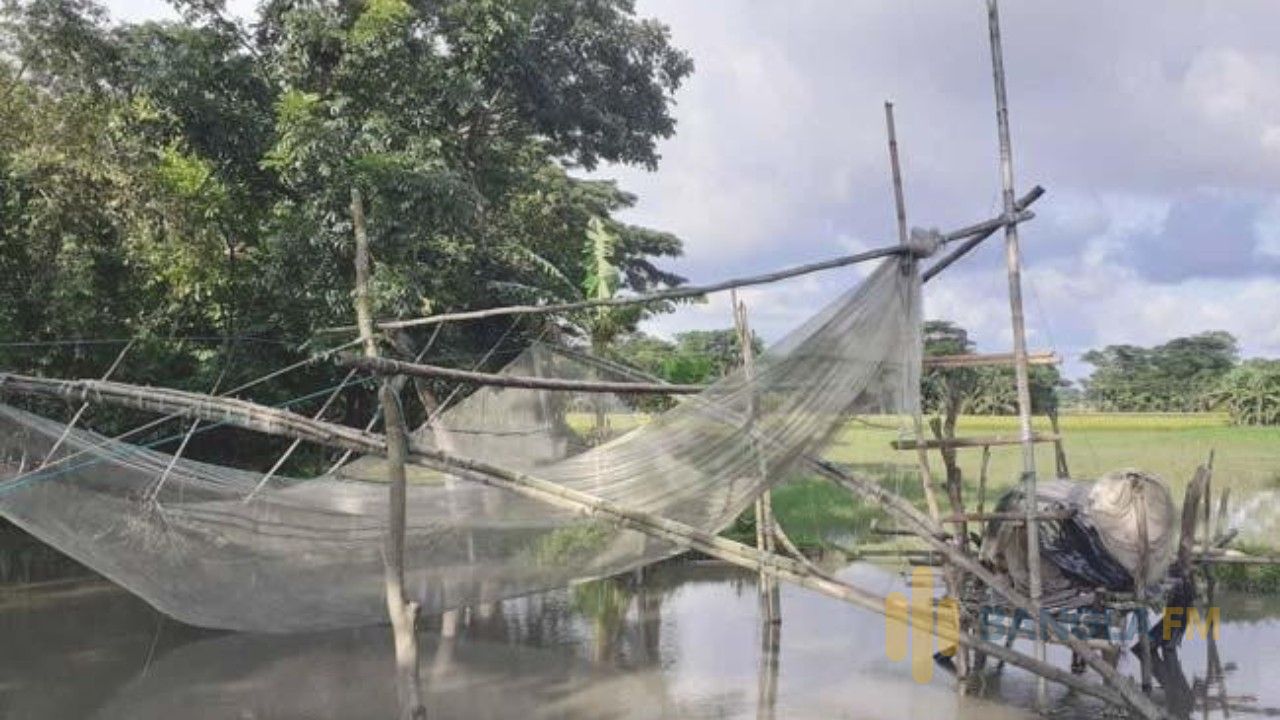 সৈয়দপুরে চায়না দুয়ারী জালের ব্যবহারে ধ্বংস হচ্ছে প্রাকৃতিক জলাশয়ের দেশীয় মাছের বীজ