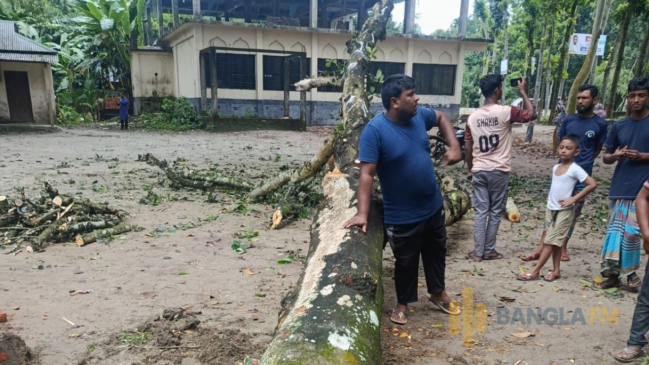 কুড়িগ্রামে নিয়ম ভেঙে মাদরাসার কাঁঠাল গাছ কর্তন: সুপারের বিচারের দাবিতে ১২ দপ্তরে অভিযোগ