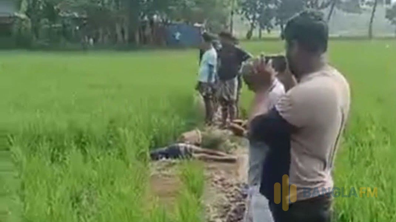 সেনবাগে ইঁদুর মারার বৈদ্যুতিক ফাঁদে প্রাণ গেল কৃষকের