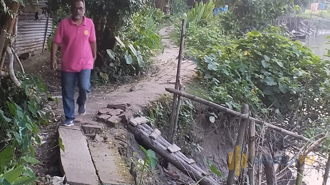 কাউখালীতে ঝুঁকিপূর্ণ হরিণধারা-গোপালপুর সড়ক: খালের পেটে বিলীন হওয়ার পথে 
