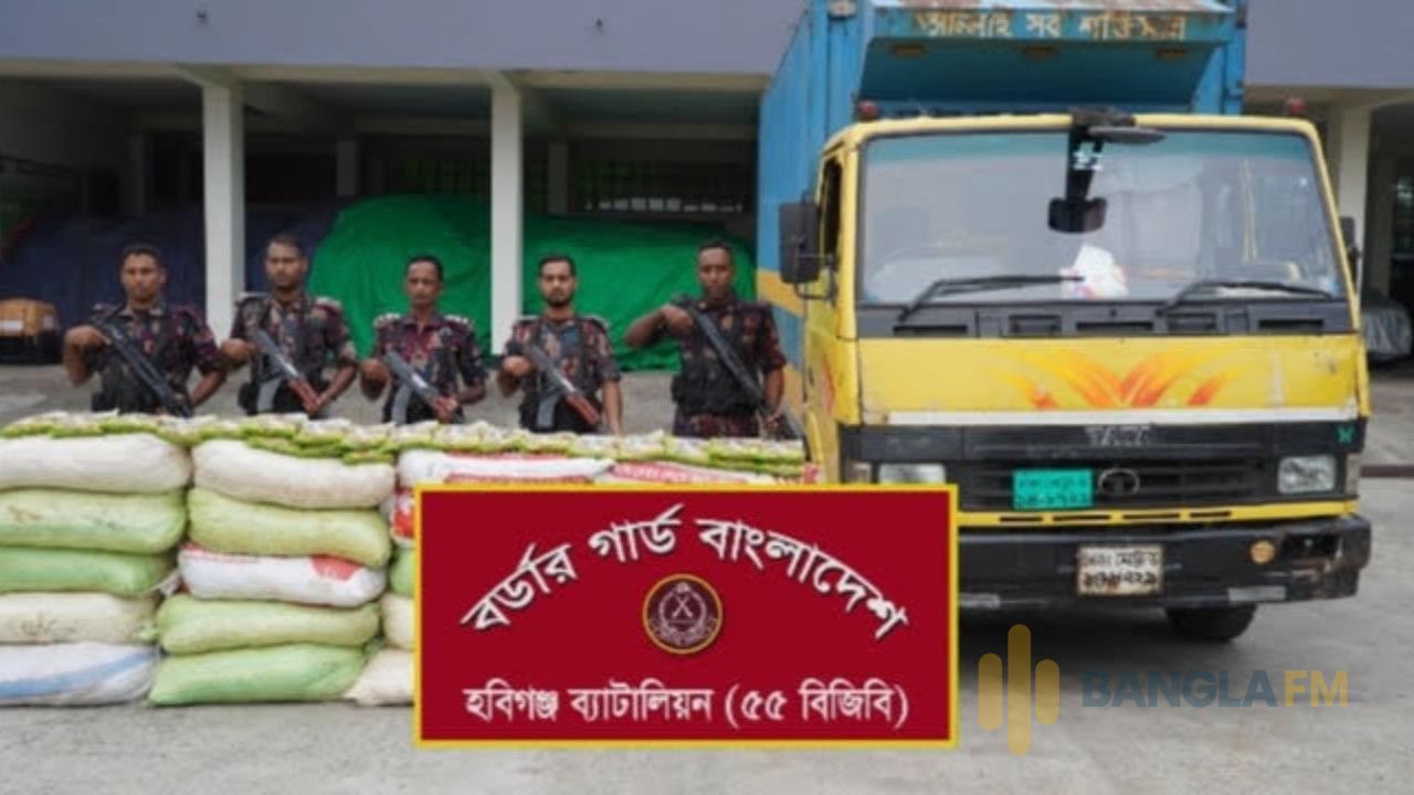 হবিগঞ্জে বিজিবির অভিযানে কোটি টাকার ভারতীয় মদ, গাঁজা ও আতশবাজি জব্দ, আটক ২