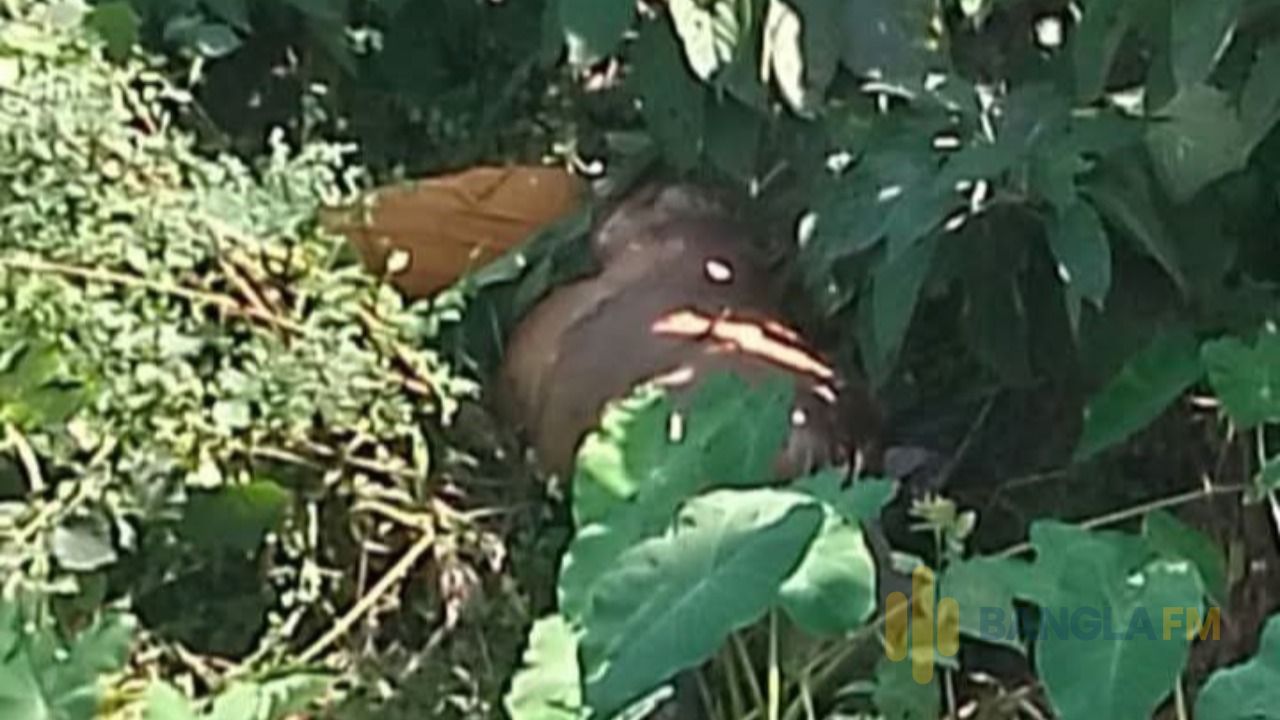 বকশীগঞ্জে গৃহবধূর লাশ উদ্ধার, আটক ৪ 
