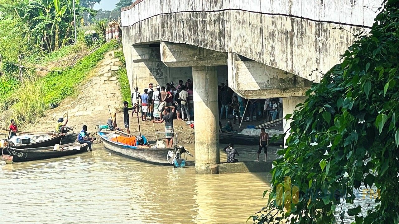 জাজিরায় নিষেধাজ্ঞার মধ্যেই পদ্মায় মা ইলিশ শিকার, নদীর পাড়ে প্রকাশ্যে বিক্রি