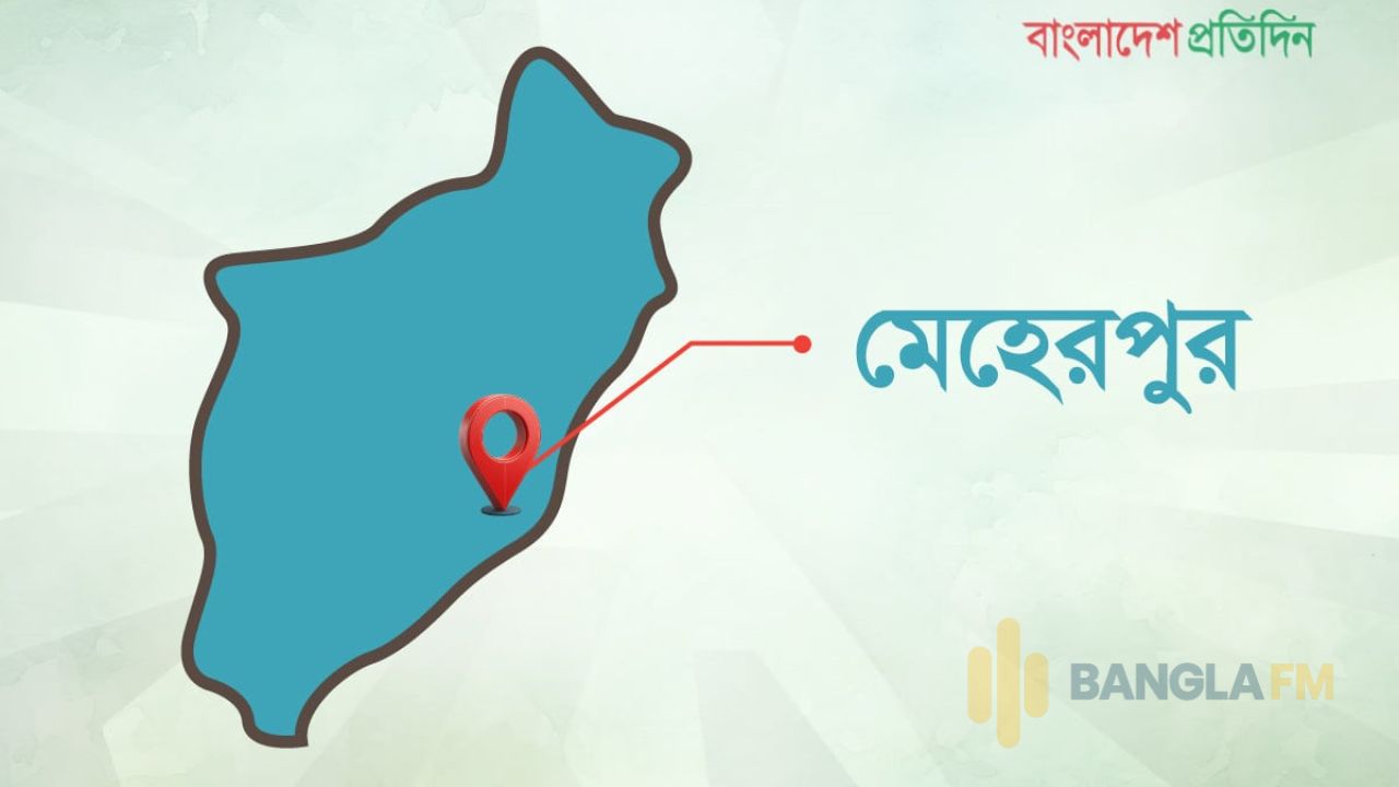 মেহেরপুরে ছেলের হাসুয়ার কোপে বাবা নিহত