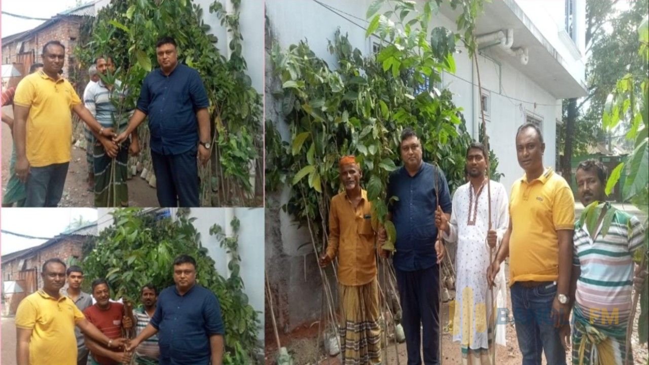 সবুজায়নের উদ্যোগে মেহেরপাড়ায় ২৫০ চারাগাছ বিতরণ যুবদল নেতা ফয়সাল বাদশাহ'র