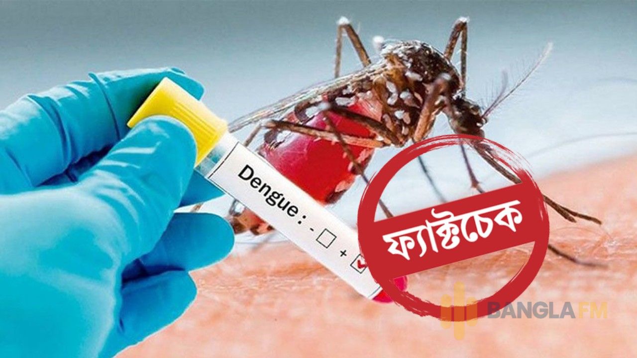ফেনীতে আশঙ্কাজনক হারে বাড়ছে ডেঙ্গুর প্রকোপ