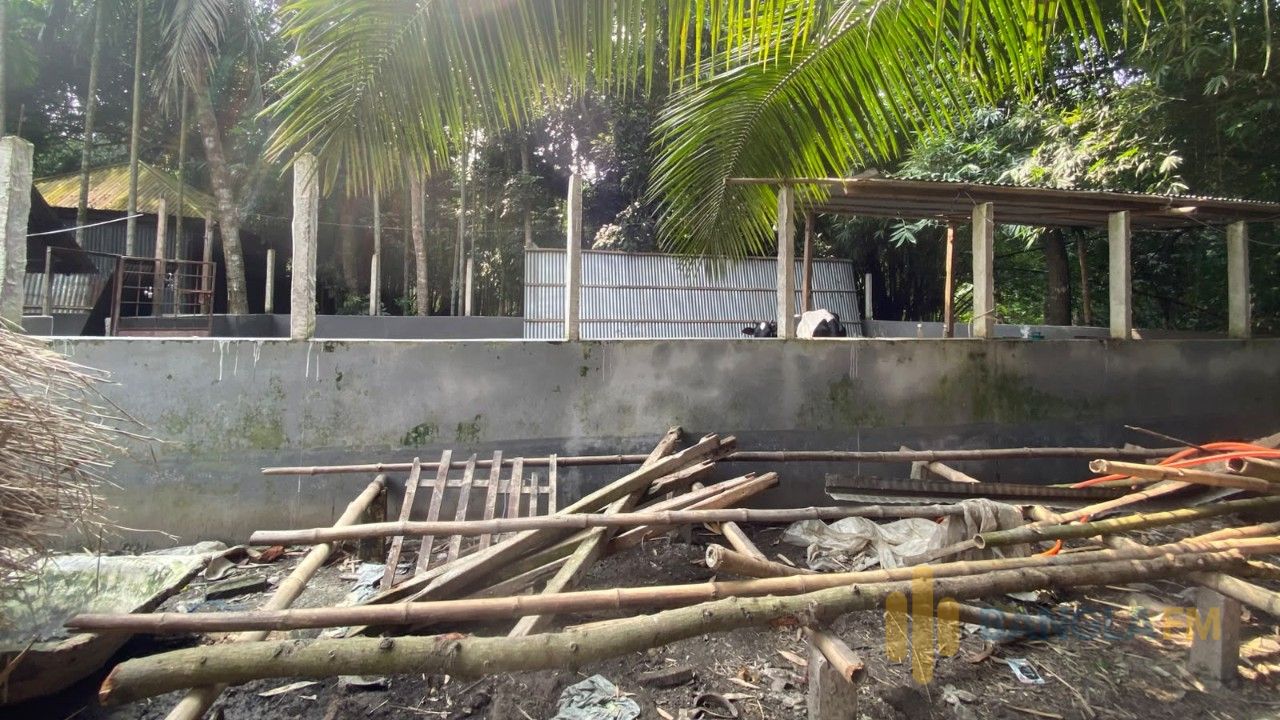 সালথায় জমি দখল করে গোয়ালঘর নির্মাণের অভিযোগ  