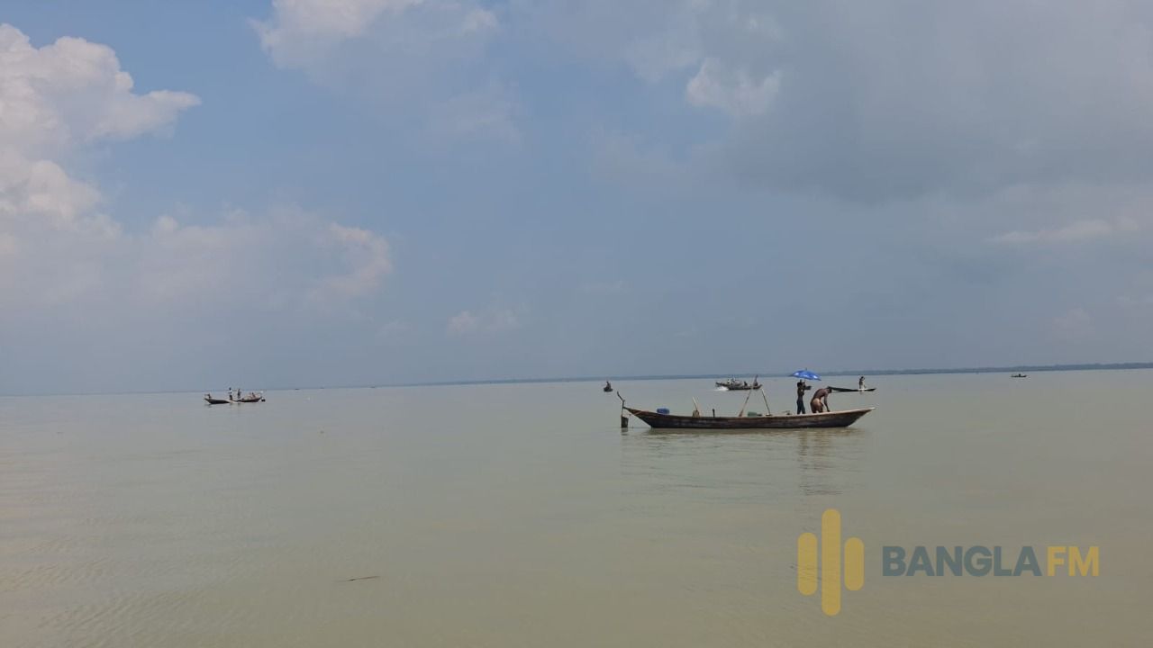 বাউফলে ঢিলেঢালা অভিযান তেঁতুলিয়ায় মা ইলিশ নিধনের মহোৎসব