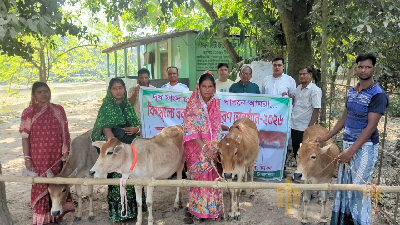 গোপালপুরে বিনামূল্যে ৪ টি হতদরিদ্রের পরিবারের মাঝে গরু বিতরণ  