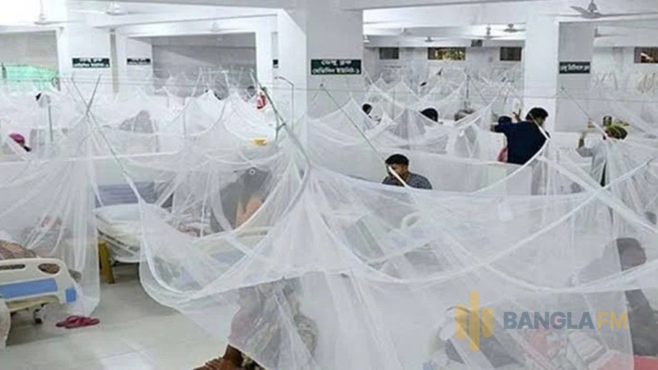 ডেঙ্গুতে আরও ৭ জনের মৃত্যু