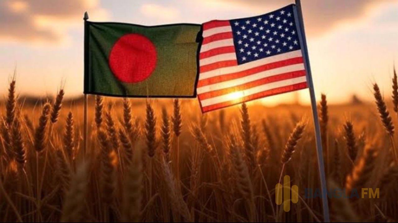 যুক্তরাষ্ট্র থেকে গম চট্টগ্রাম বন্দরে পৌঁছেছে