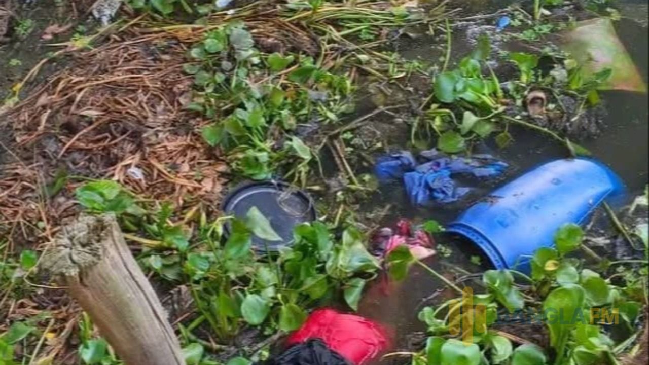 শেরপুরের শ্রীবরদী ব্রিজের নিচে অজ্ঞাত নারীর লাশ  উদ্ধার
