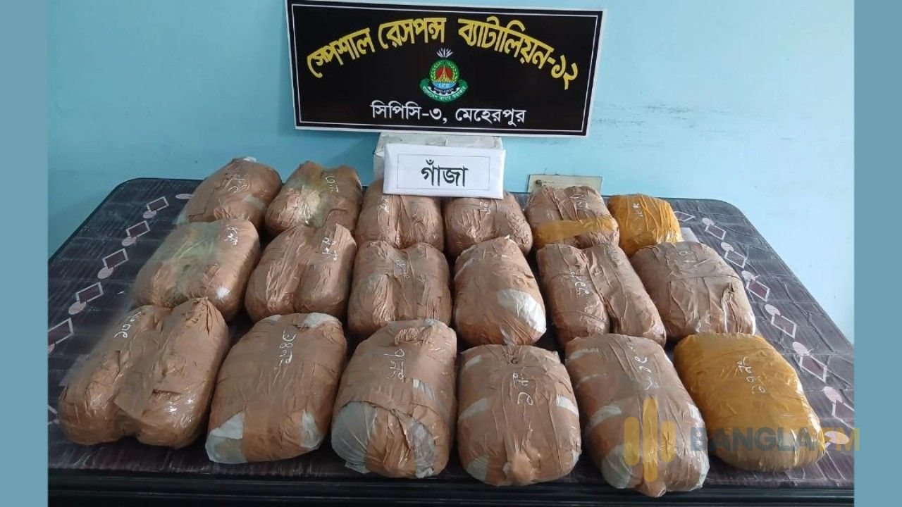চুয়াডাঙ্গার দামুড়হুদায় সাড়ে ১৮ কেজি গাঁজাসহ নারী গ্রেপ্তার