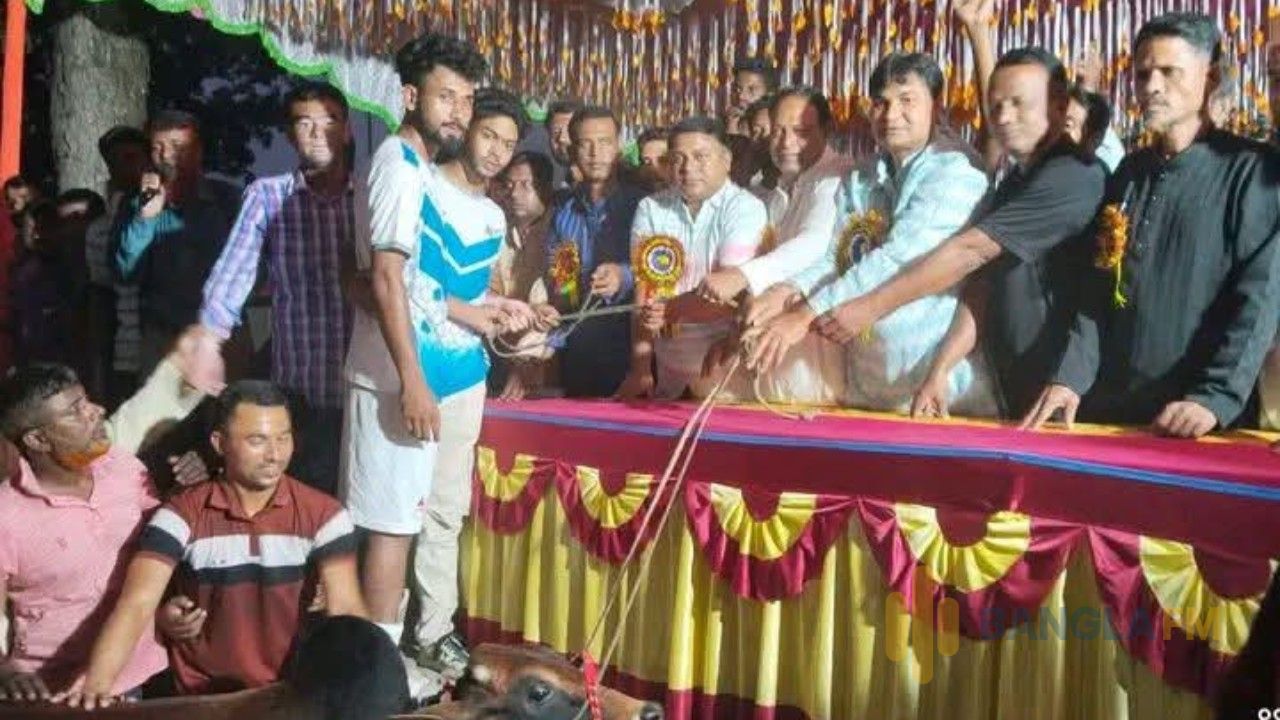 শাজাহানপুরে শহীদ জিয়া ফুটবল টুর্নামেন্টের ফাইনাল খেলা অনুষ্ঠিত